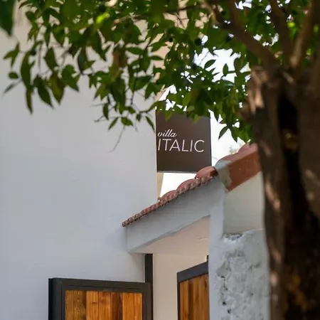 Italic Antalia